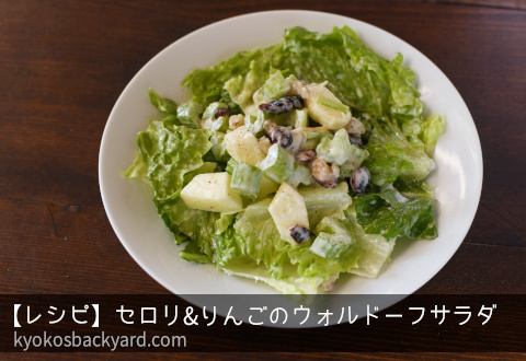 Thumbnail of post image 186