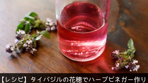 レシピ タイバジルの花穂でハーブビネガー作り Kyoko S Backyard アメリカで田舎暮らし キッチン編